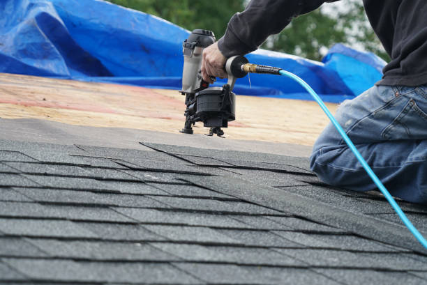 Roof Waterproofing Services in Harbor Bluffs, FL