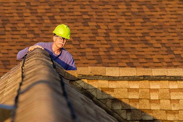 Best Roof Maintenance Services  in Harbor Bluffs, FL